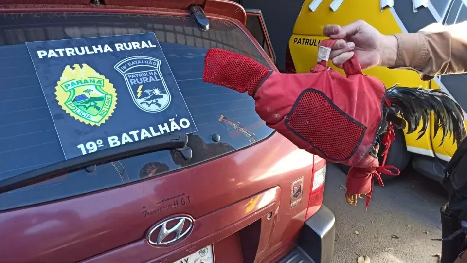 Dupla é presa pela patrulha rural com sete galos de rinha em Ouro Verde do Oeste