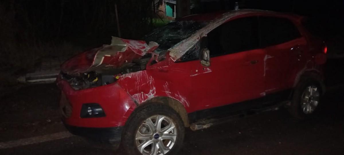 Homem fica ferido em acidente na PR 495, em Vista Alegra, interior de Missal