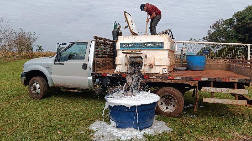 Itaipu conclui distribuição de peixes e cestas básicas para indígenas de Santa Helena e Itaipulândia