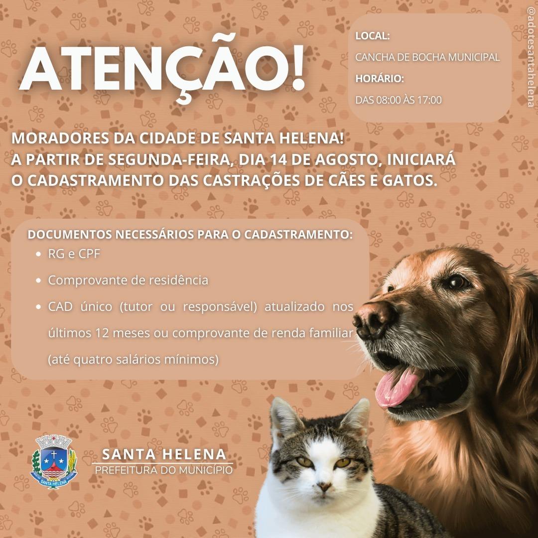 Cadastramento para castração de cães e gatos inicia na segunda em Santa Helena