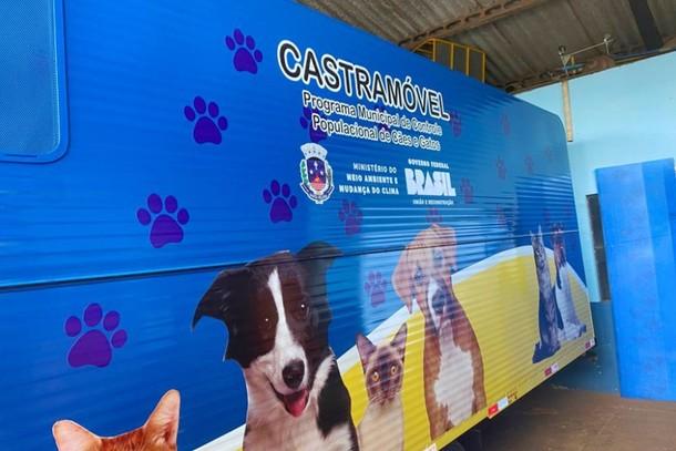 Inscrições para castrar cães e gatos começou nesta segunda em Santa Helena