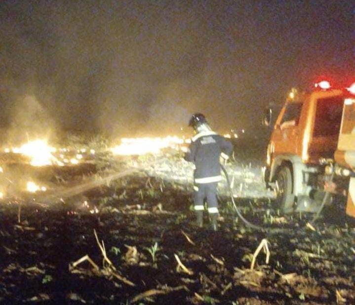 Defesa Civil de Santa Helena é acionada para combater incêndio em área de plantio