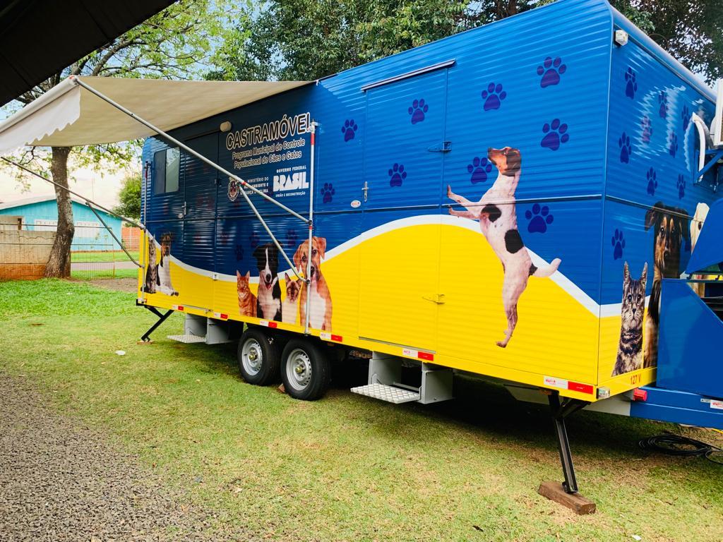 Mutirão de castrações e feira de adoção inicia nesta sexta-feira em Santa Helena