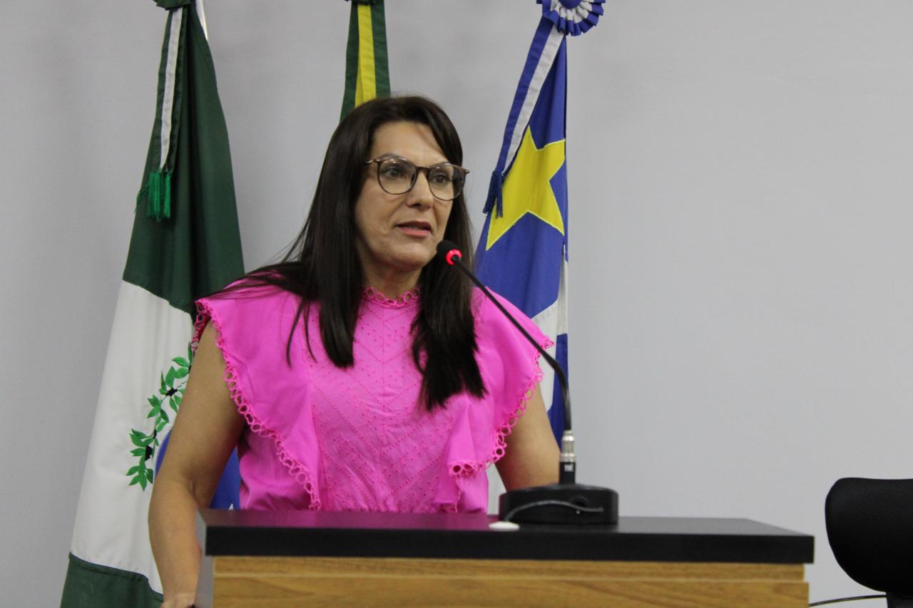 “Distritos sem empregos”: Vereadora cobra posição do Município sobre transporte público em Santa Helena