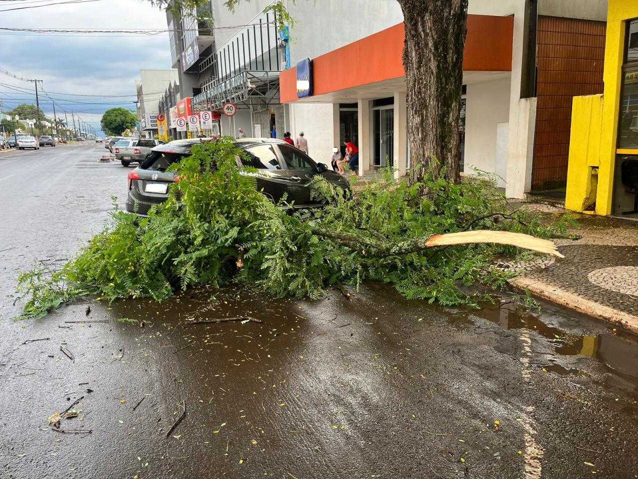 Carro fica danificado após queda de galho na Avenida Brasil em Santa Helena