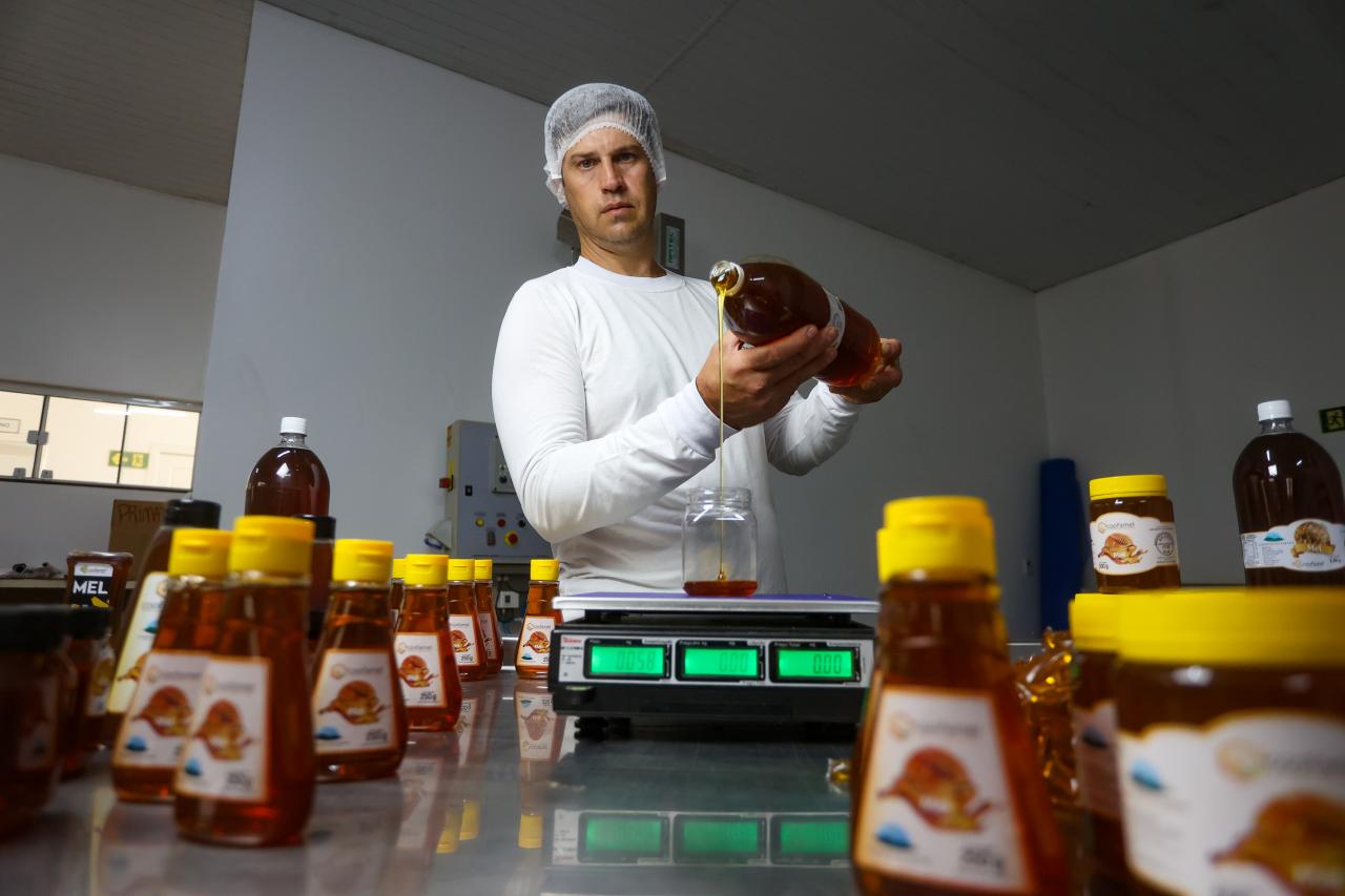 Mel do Oeste: empresa de Santa Helena é destaque em produção de mel e produto ganha fama nacional