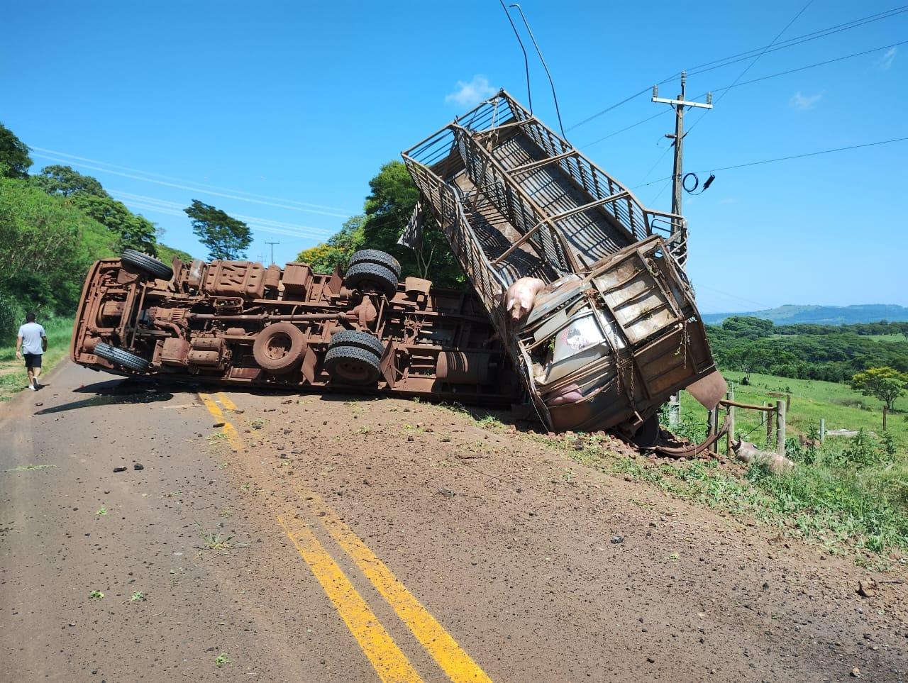Caminhão carregado com porcos tomba na PR 488, em Diamante do Oeste