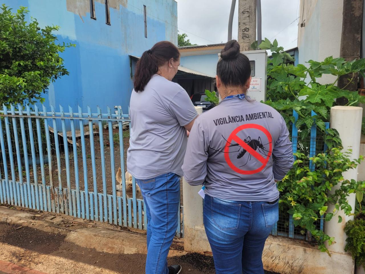Casos confirmados de Leptospirose em Santa Helena deixam saúde em alerta