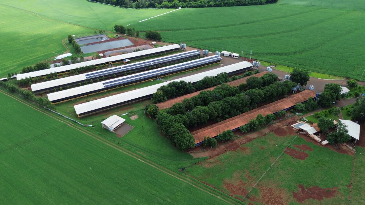 Produtores de Santa Helena devem regularizar a DAP para acessar créditos rurais, orienta IDR-Paraná