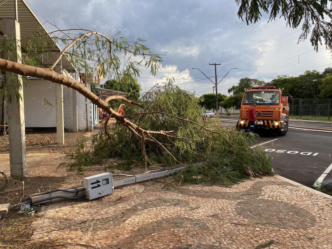 Galho cai sobre poste e fio interdita Avenida Brasil em Santa Helena