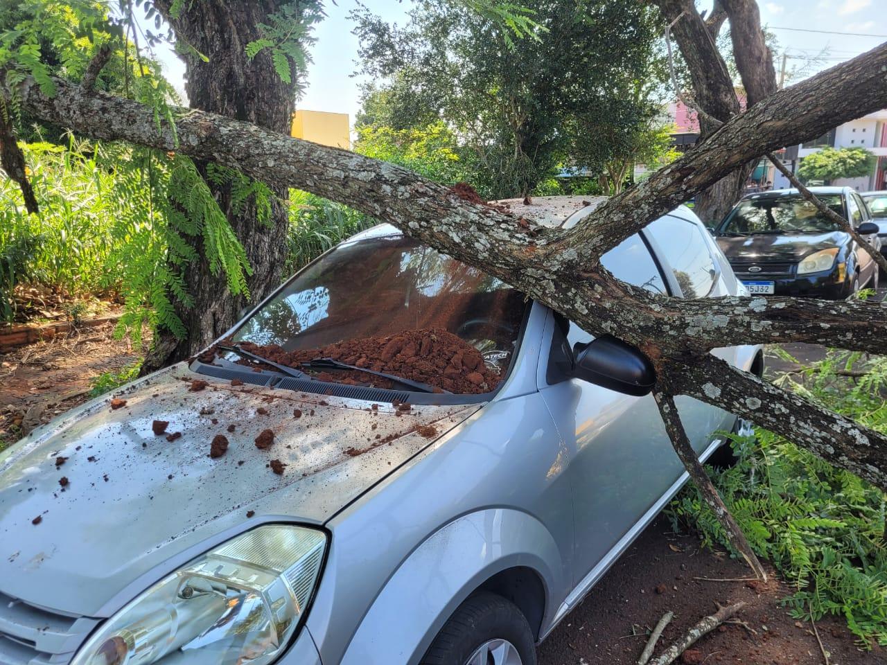 Galho de árvore cai e atinge veículo estacionado no centro de Santa Helena