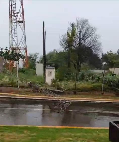 Alerta: Polícia Rodoviária informa queda de árvores e torre nas PRs 488 e 995 em Santa Helena