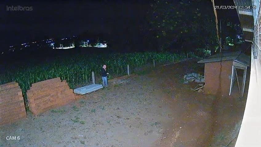 Câmera de segurança flagra furto de Pavões Arlequim no interior de Santa Helena