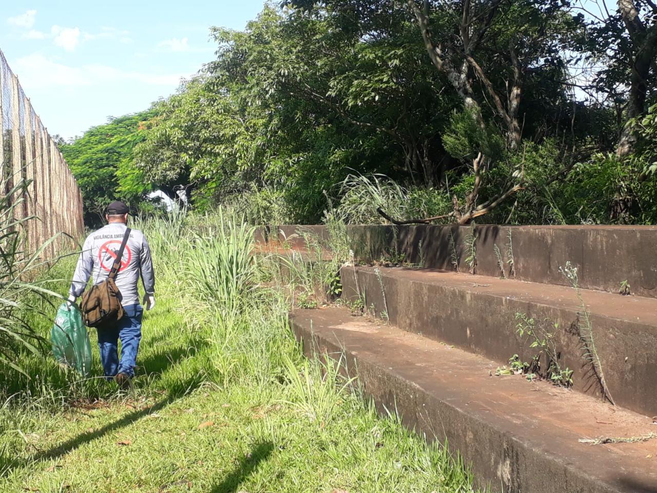 Com 35 novos casos, dengue se alastra em Santa Helena e cuidados precisam ser redobrados