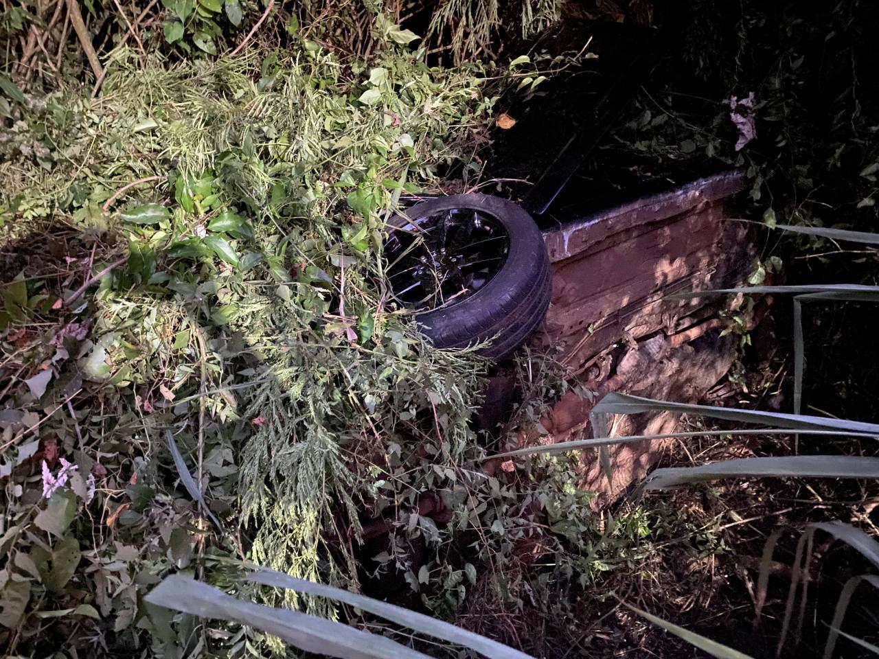 Familia, incluindo bebê, sai ilesa em acidente na PR 317, em Santa Helena