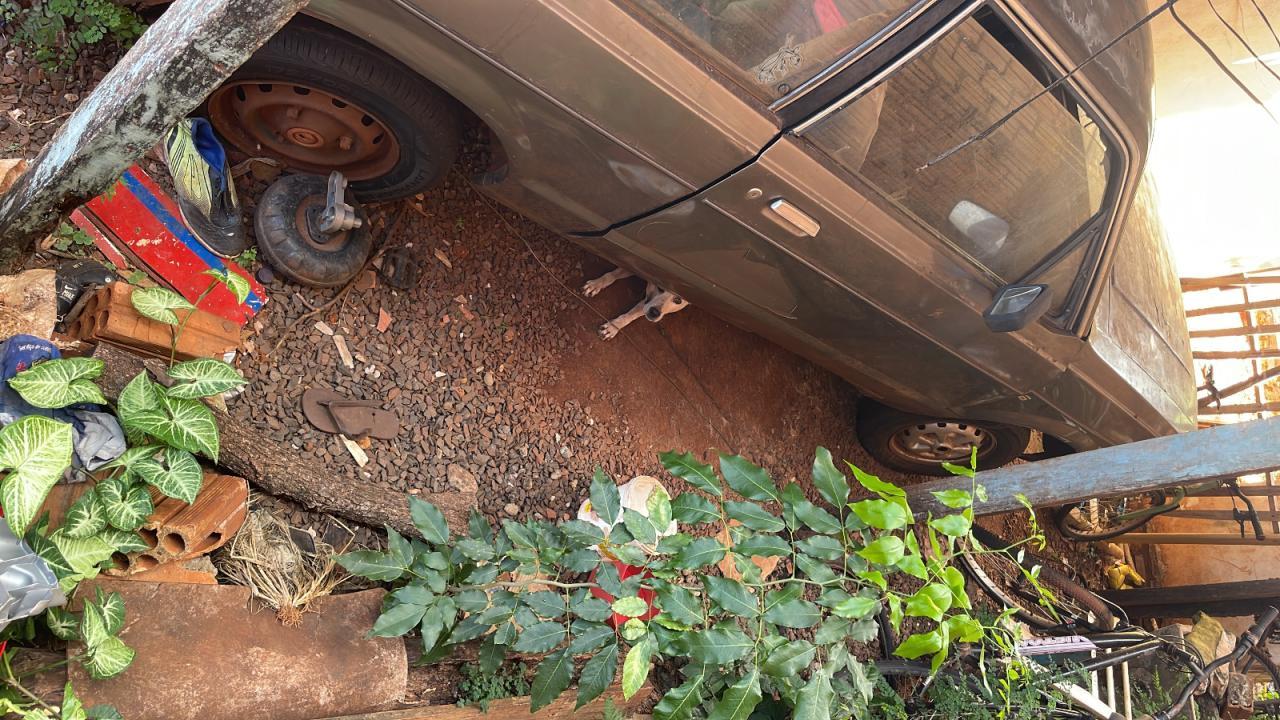 Após receber denúncia por maus tratos, Policiais Civis de Santa Helena acabam por ajudar animais