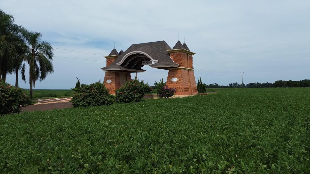 Agricultores de Santa Helena e região podem semear soja a partir deste domingo (01)
