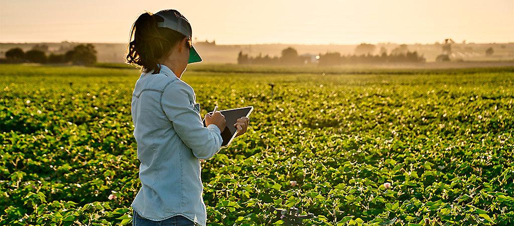 Evento para mulheres do campo vai abordar uso de tecnologias em Santa Helena