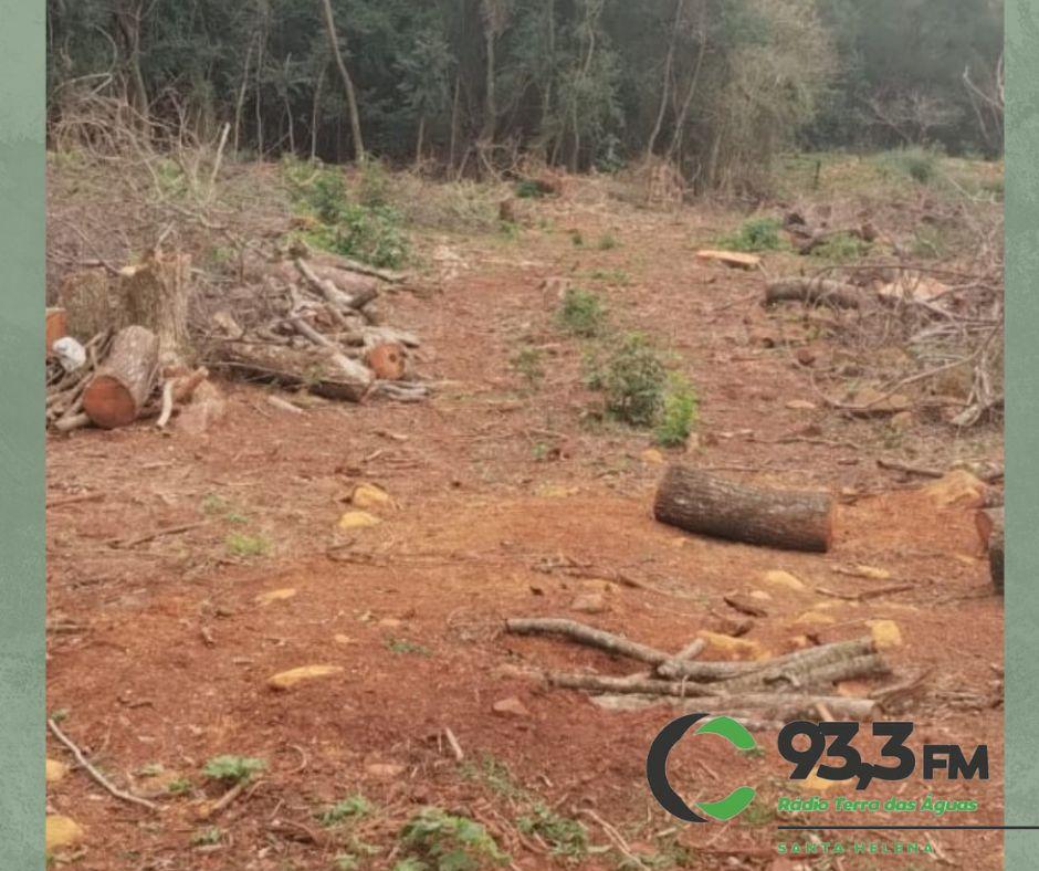 Polícia Ambiental flagra dano em vegetação nativa em Missal