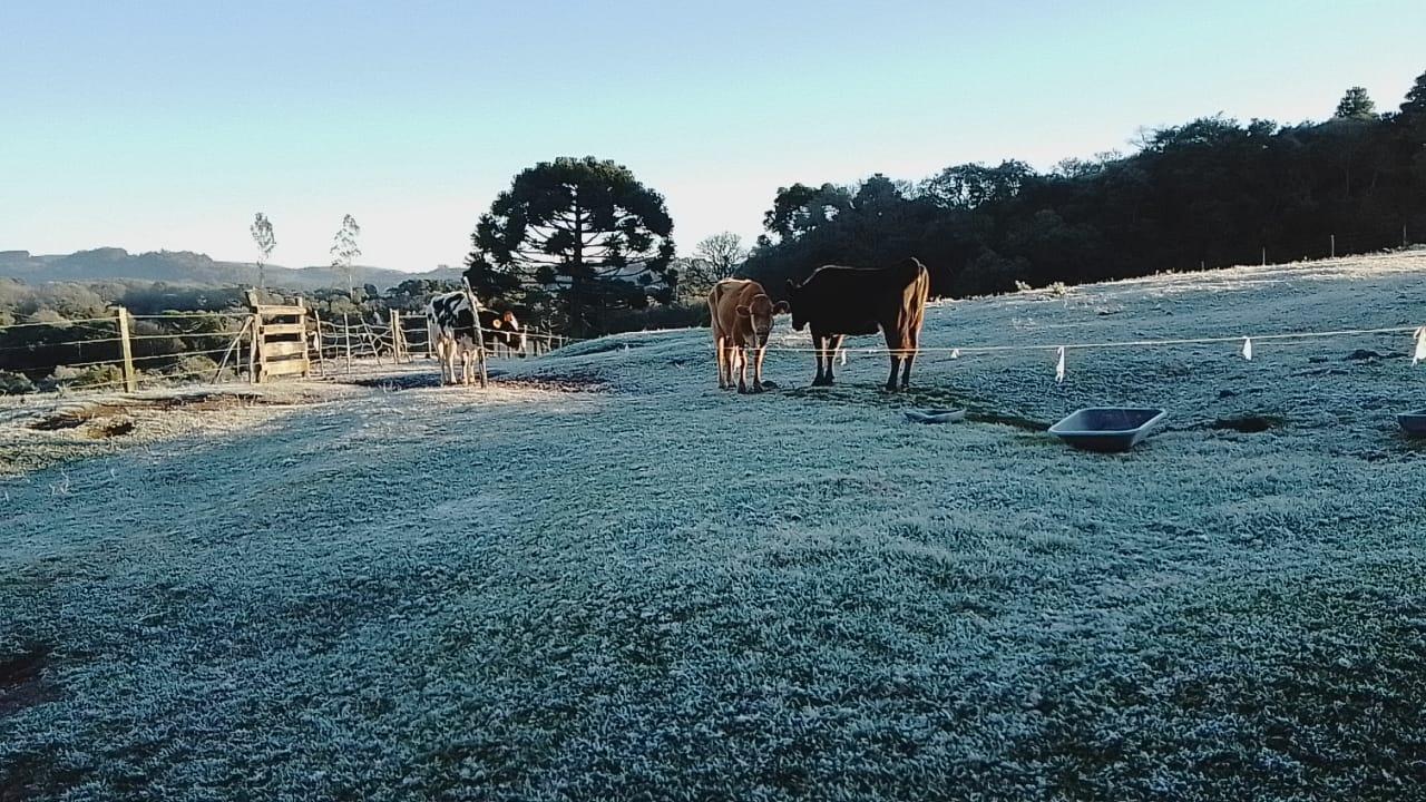 Santa Helena registra temperatura mínima de 1,1°C nesta segunda-feira (26)