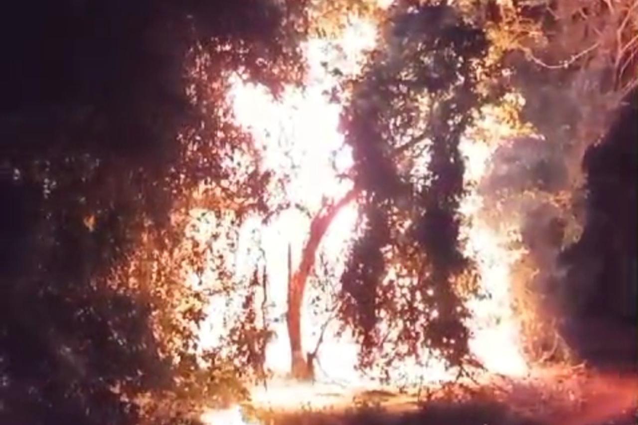 Defesa Civil de Missal combate incêndio em área de mata