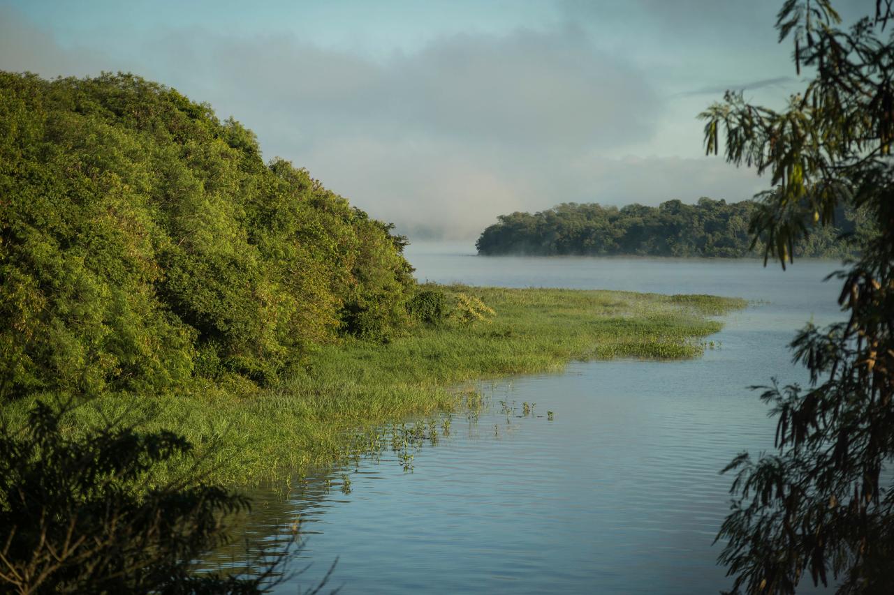 Itaipu faz inventário histórico do Refúgio Biológico de Santa Helena