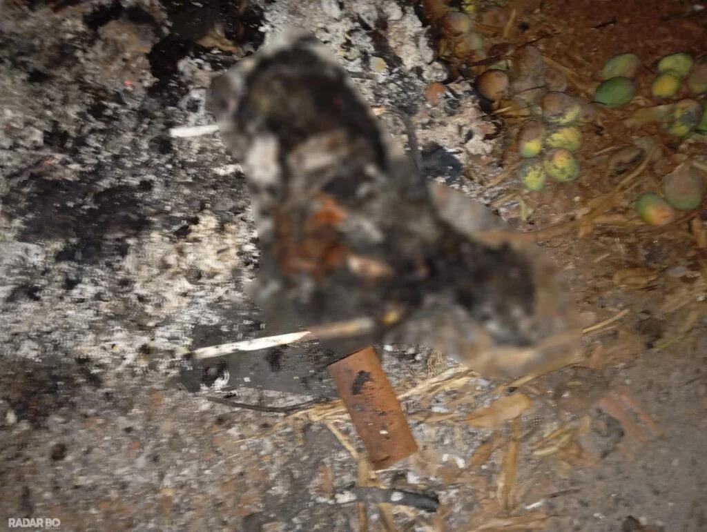 Homem é detido em flagrante por incinerar cão na zona rural de São Pedro do Iguaçu