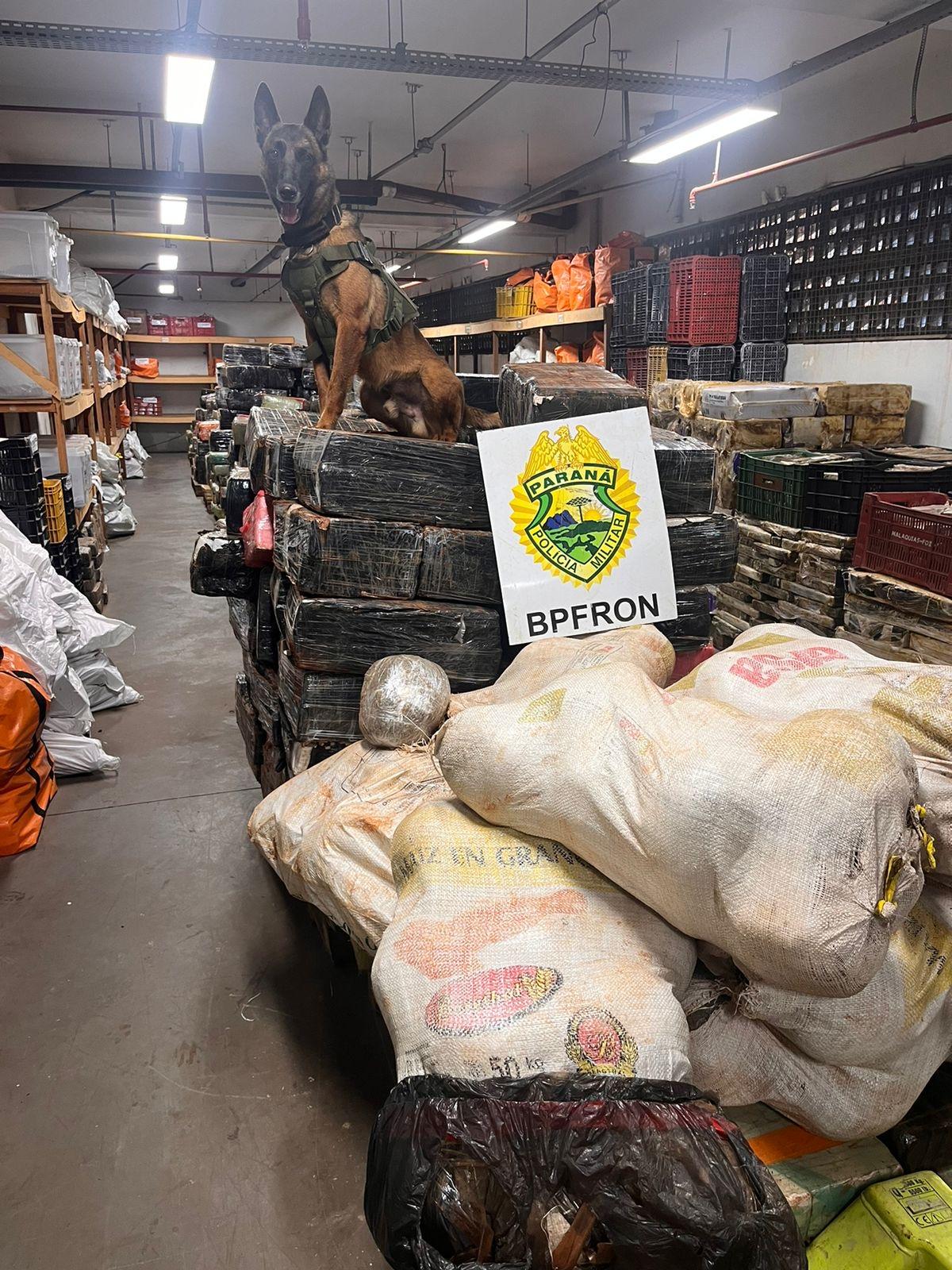 BPFRON apreende 6 toneladas de maconha em Santa Helena