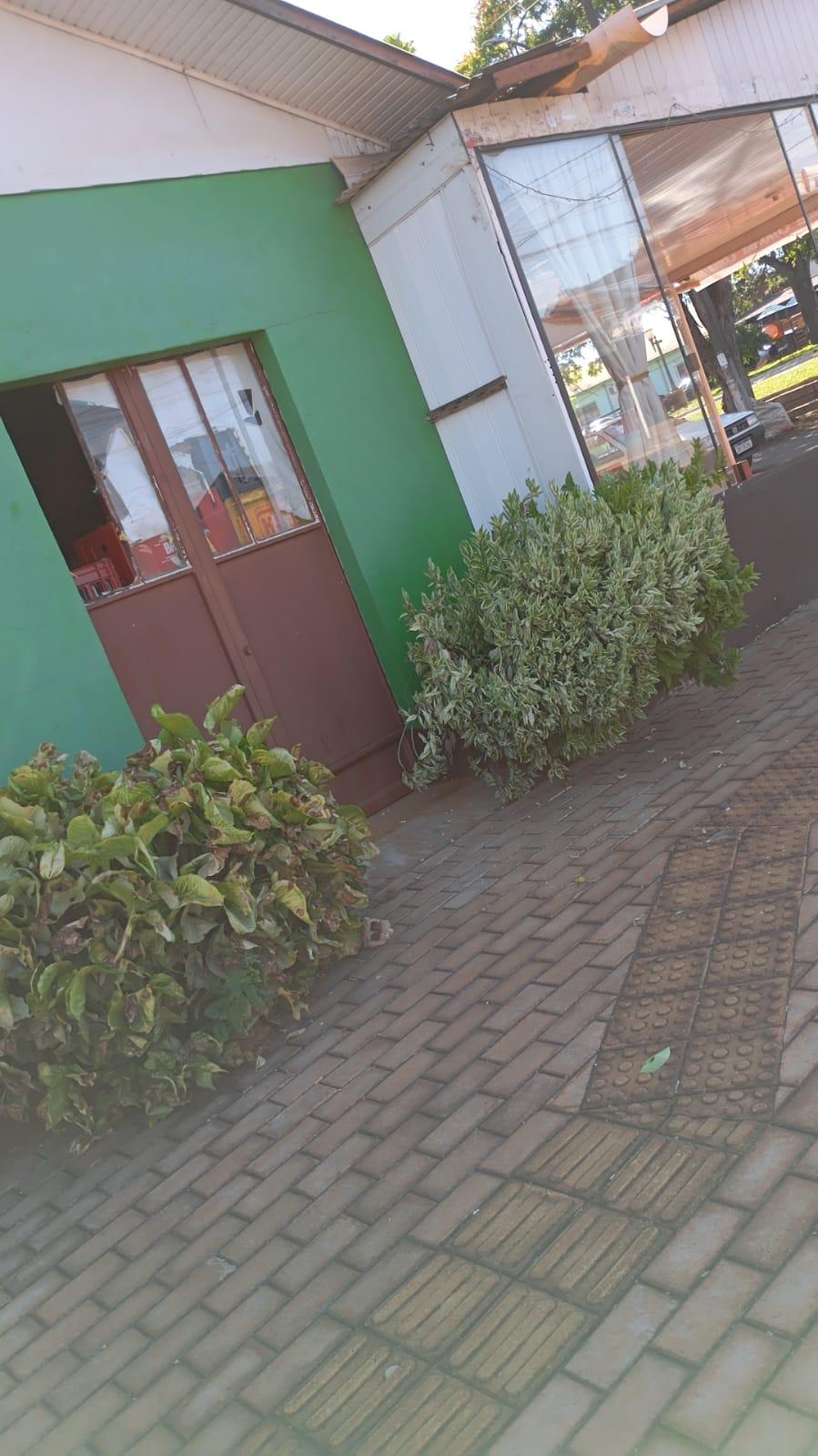 Comércio é alvo de furto em São Clemente distrito de Santa Helena