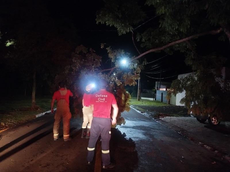 Galho de árvore cai sobre rede elétrica e mobiliza equipes em Santa Helena