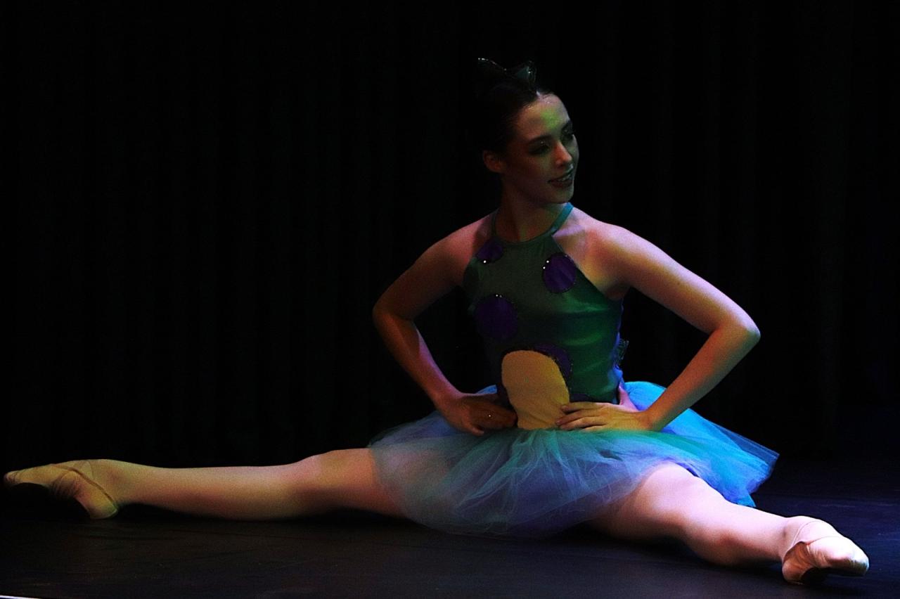 Jovem santa-helenense é aprovada para uma das escolas de dança mais importantes do Brasil