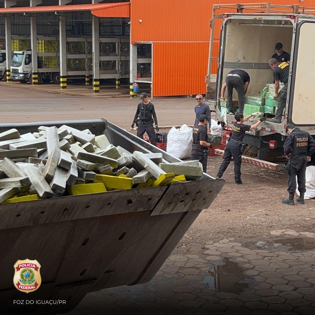 PF incinera quase 10 toneladas de drogas apreendidas em Santa Helena e região
