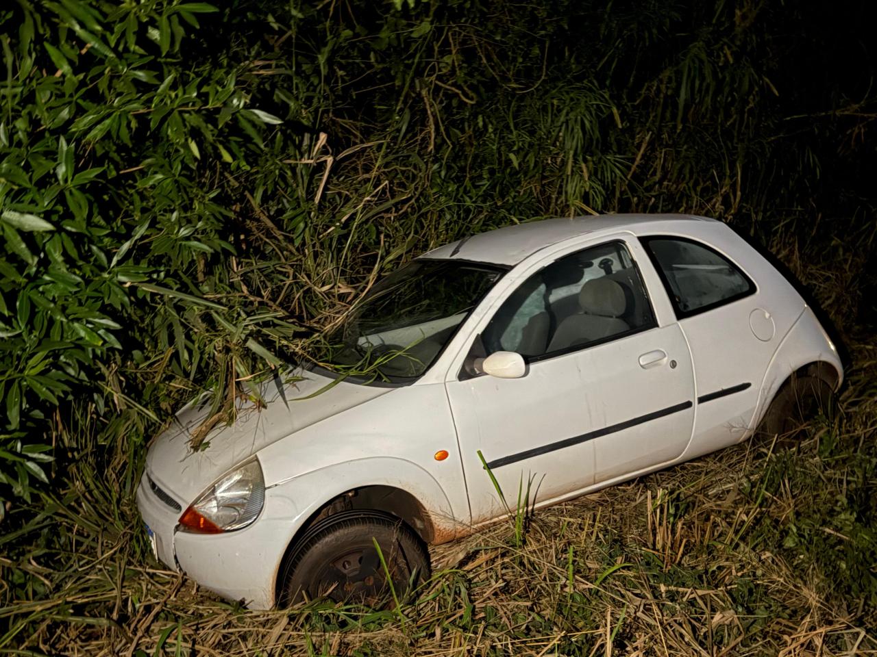 Condutor perde controle e veículo para em vegetação na PR 317 em Santa Helena