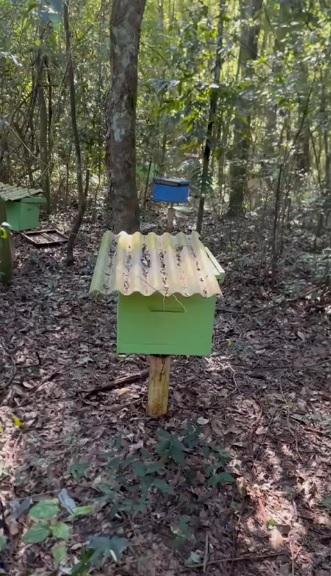 Apicultor tem equipamentos furtados em área rural de Santa Helena