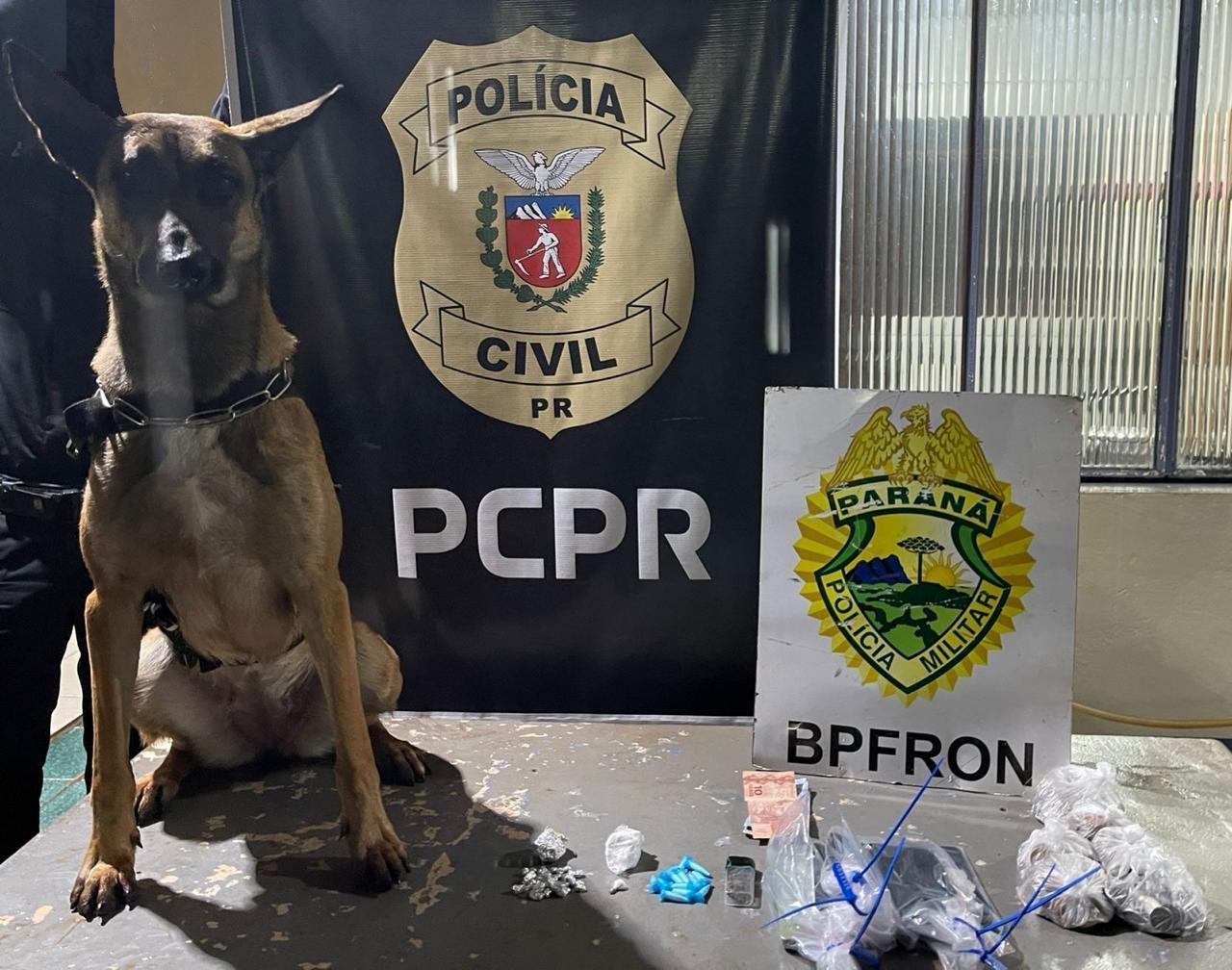 PC e BPFRON prendem homens em Santa Helena em ação contra crimes sexuais