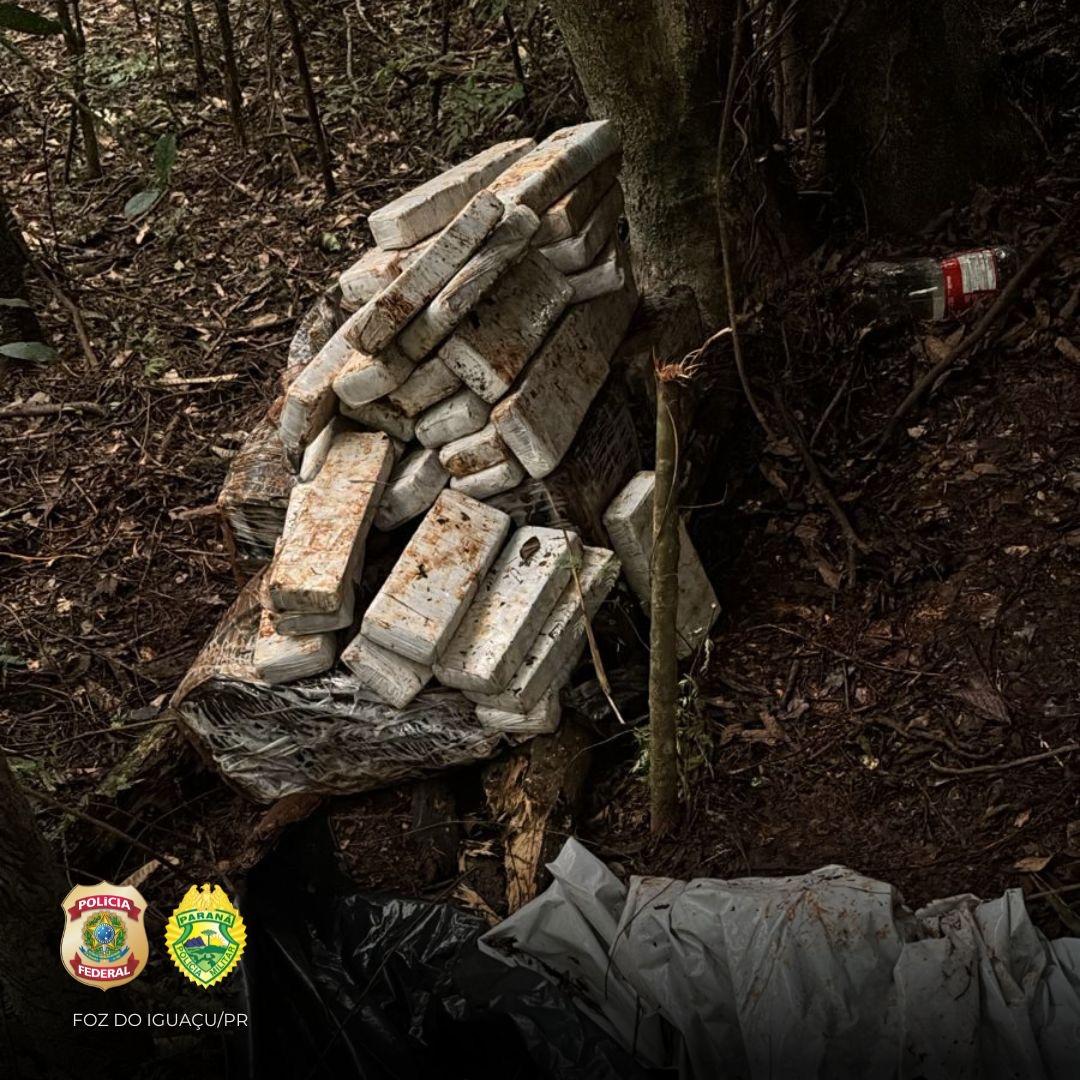Polícia apreende quase 100 kg de maconha em Santa Helena