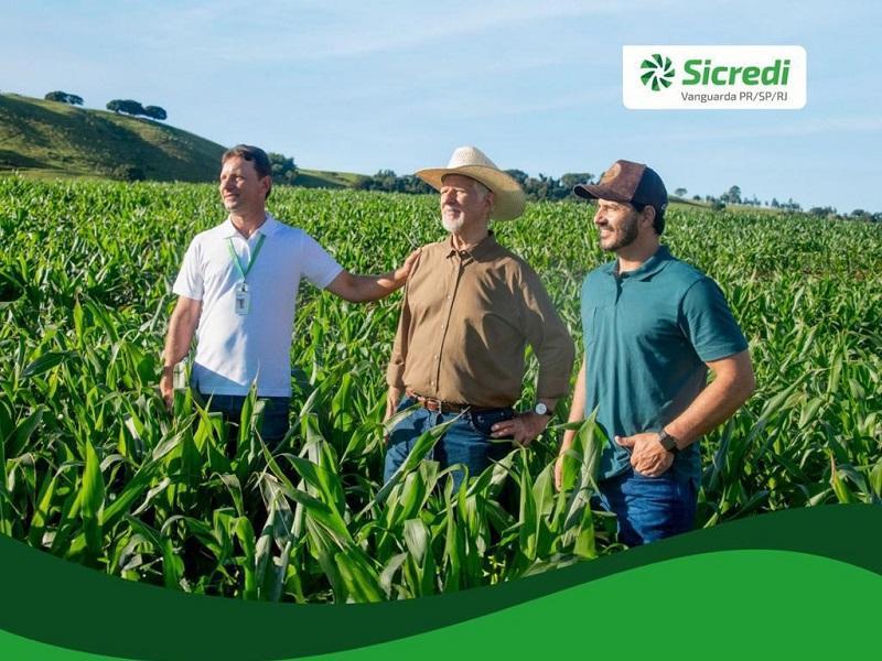 Sicredi fará lançamento do Plano Safra 2025/2026 para agricultores de distritos de Santa Helena