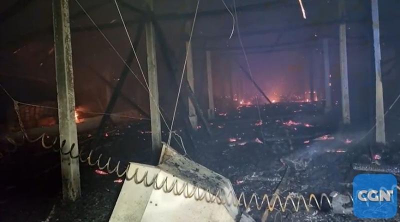 Tragédia no campo: fogo destrói aviário e elimina 21 mil pintainhos em Cascavel