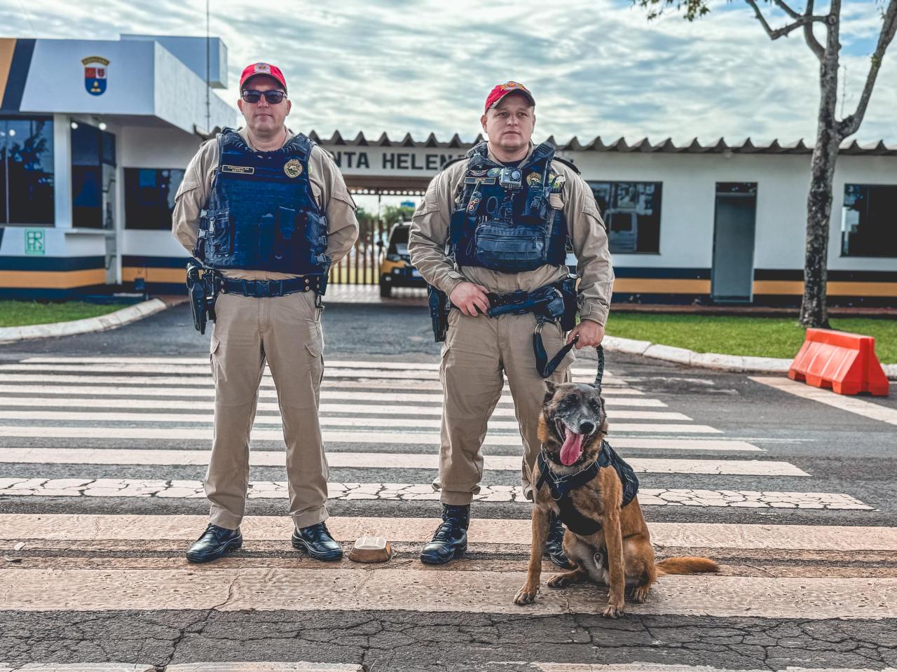 Operação com apoio do cão Átila é realizada pelo BPRV em Santa Helena