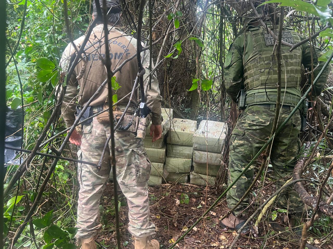 Polícia apreende quase 300 kg de maconha em Vila Celeste, distrito de Santa Helena