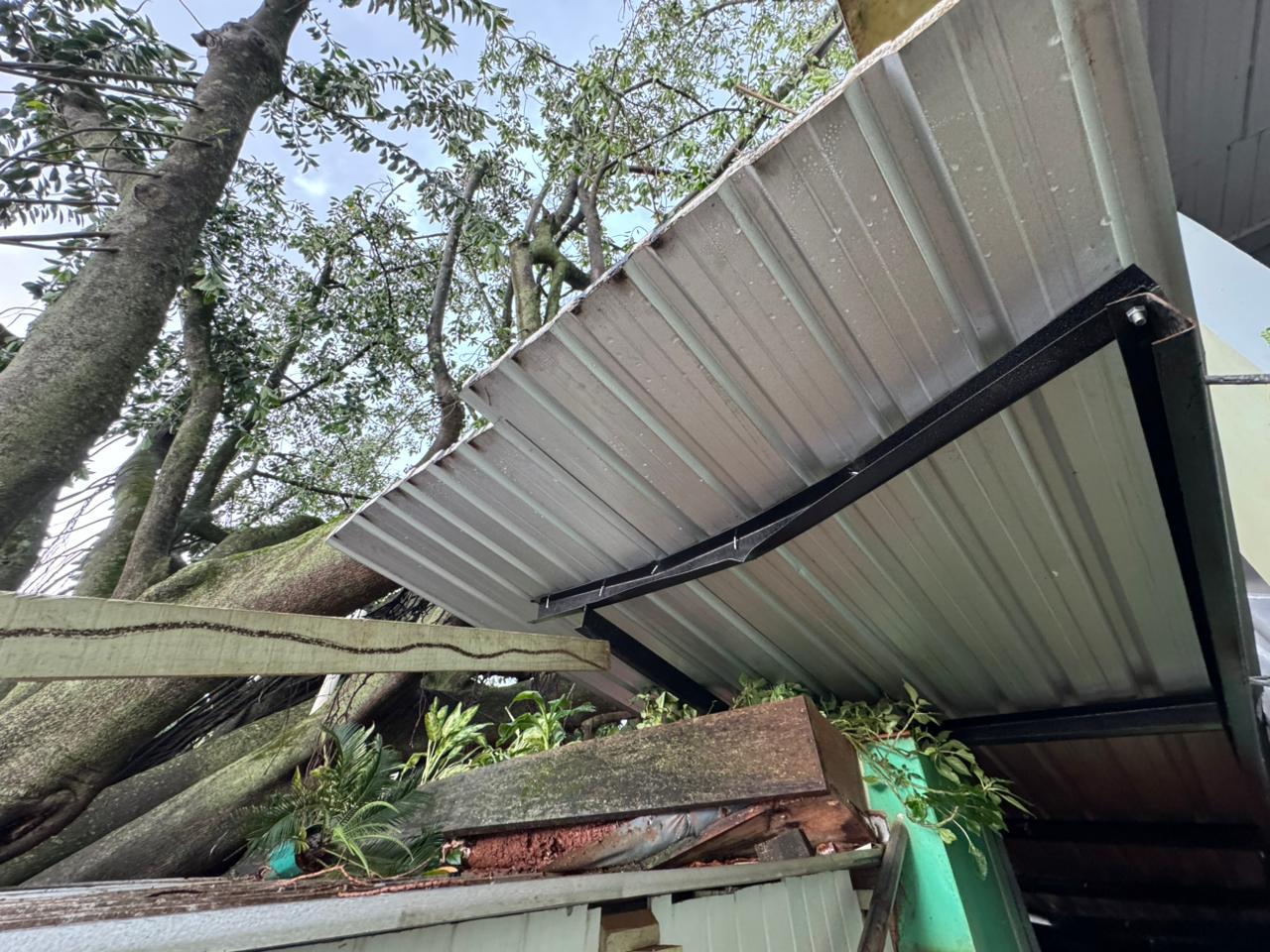 Temporal deixa estragos em Santa Helena e região; árvore de grande porte cai sobre comércio