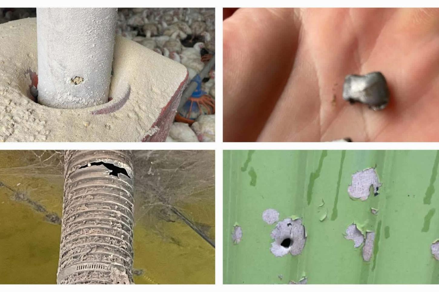 Propriedade rural é atingida por tiros em Missal