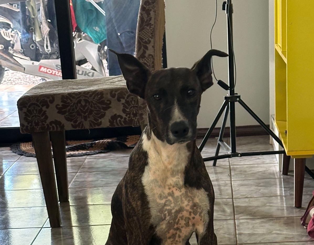 Becky está sendo procurada pela família após fugir de casa em Santa Helena
