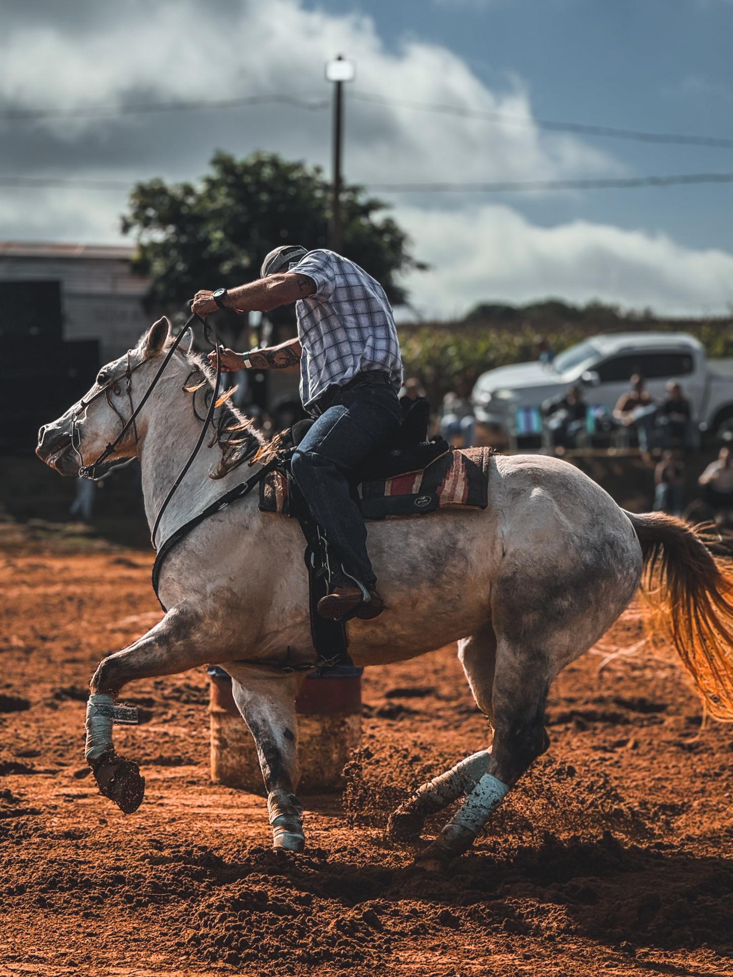 Com apoio da SETU, 21ª Cavalgada Ecológica reúne cavaleiros e grande público em Santa Helena