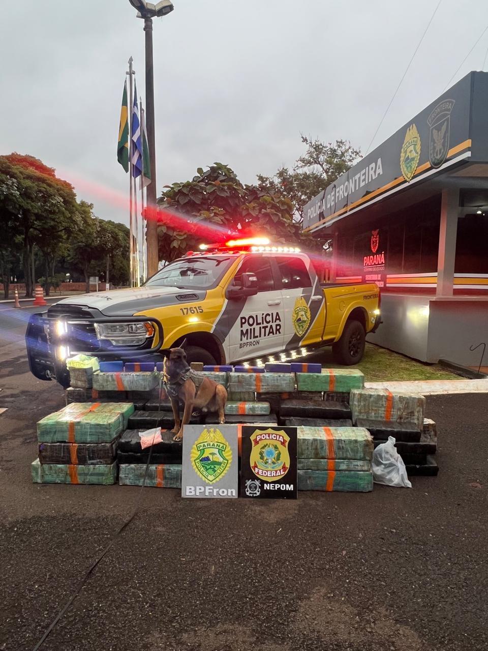 Polícia apreende quase uma tonelada de droga em Santa Helena