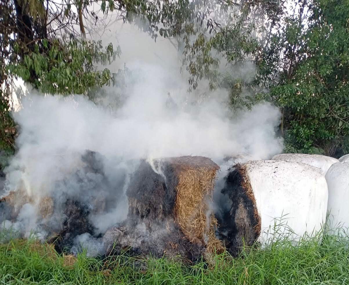 Queimada irregular atinge produção de feno em propriedade rural de Santa Helena
