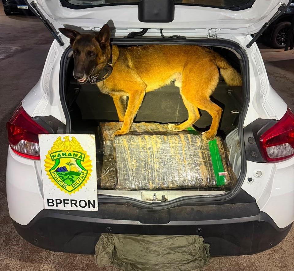Homem carrega droga em Santa Helena e acaba preso em Ouro Verde do Oeste