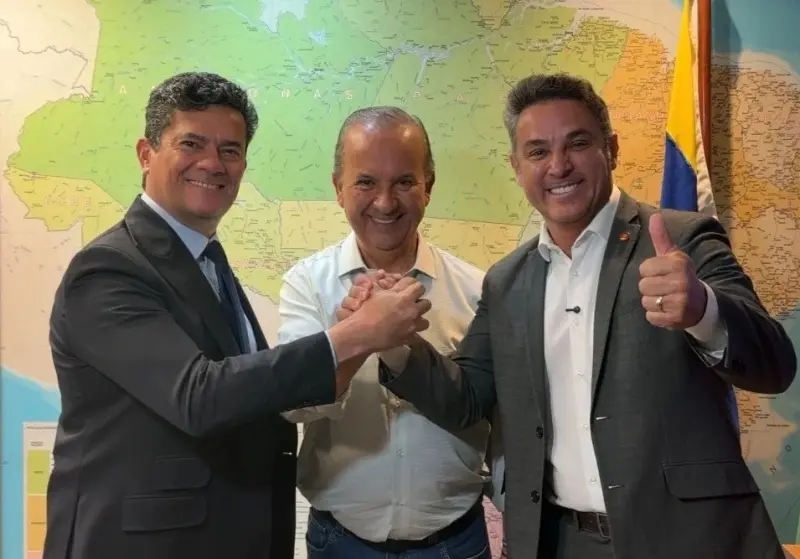 GOVERNADOS DO SUL