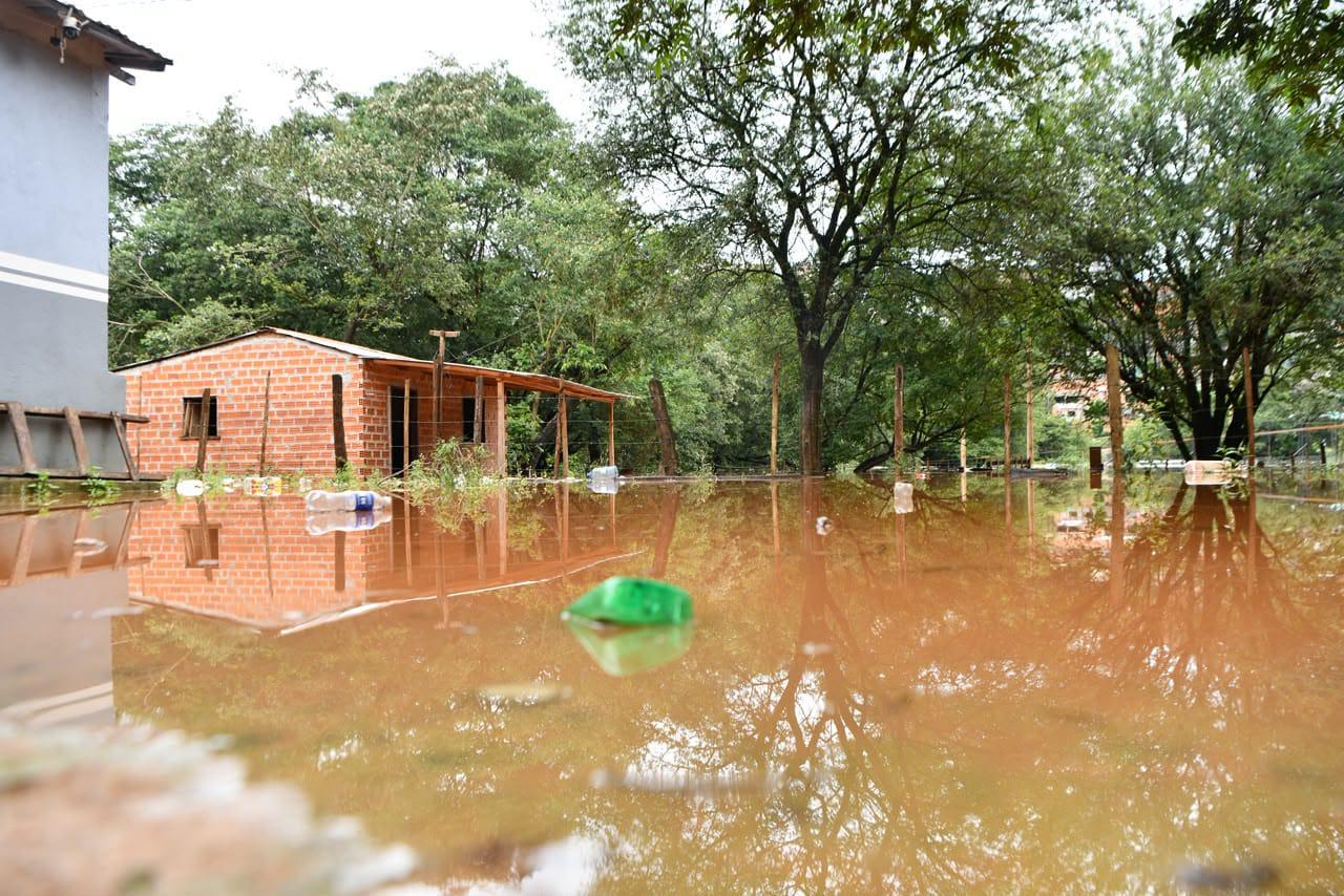 CHEIAS NO RIO PARANÁ