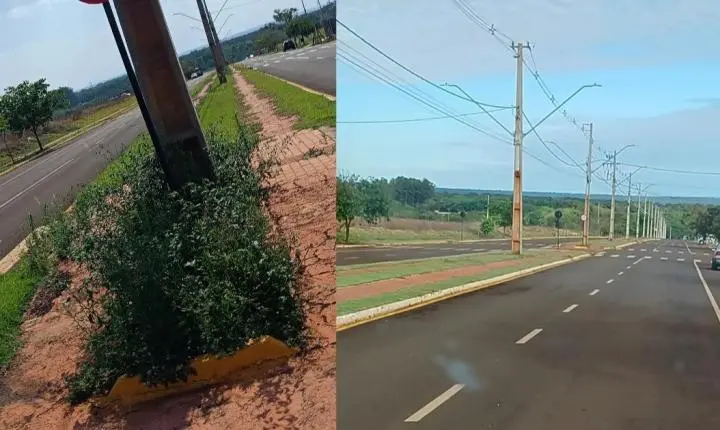 A pedido da Rádio Costa Oeste prefeitura corta mato na Avenida São Paulo